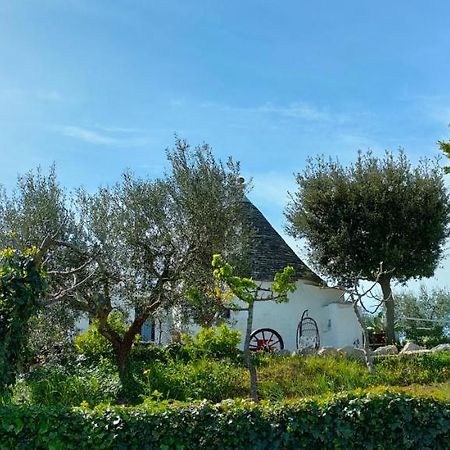 Antico Trullo Immerso Nella Campagna 알베르벨로 외부 사진