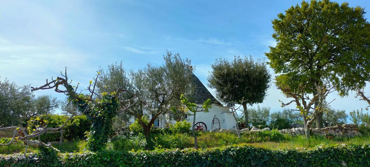 Antico Trullo Immerso Nella Campagna 알베르벨로 외부 사진