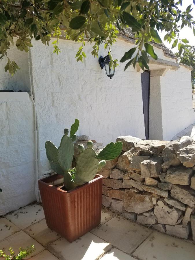 Antico Trullo Immerso Nella Campagna 알베르벨로 외부 사진